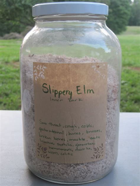 Home Shalom Slippery Elm Bark For Tummy Colon Sore Throats And More