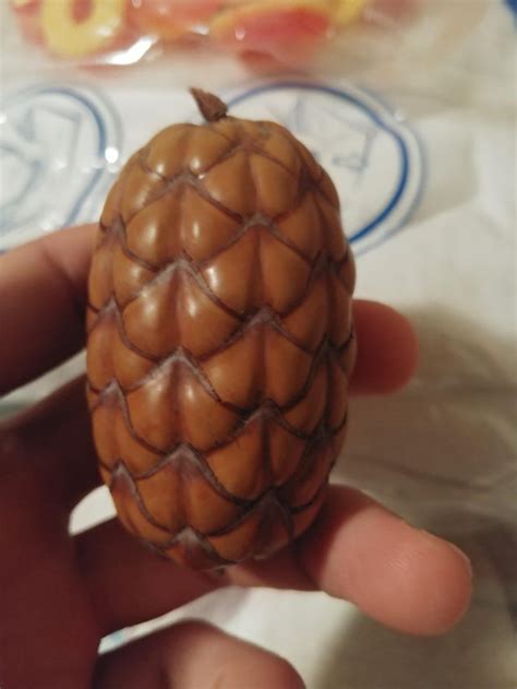 What Is This It Looks Like Some Kind Of Seed Pod But Im