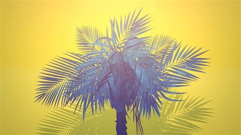 Premium Photo Closeup Tropical Palm Trees Summer Background Elegant