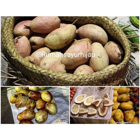 Jual Buah Binjai Khas Banjar Berat 1 Kg Shopee Indonesia