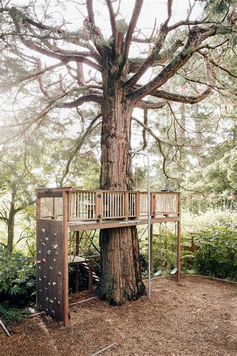 Diy How To Build A Simple Tree House