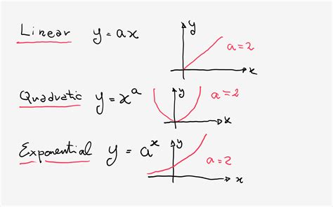Is Y X2 1 An Exponential Function Example