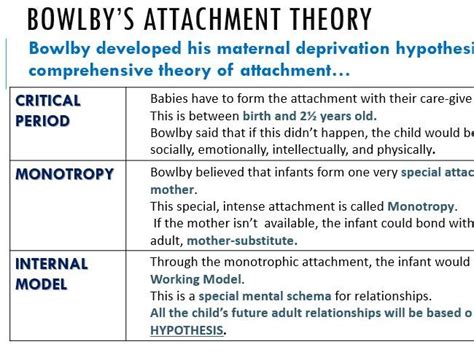 Attachment Theory Lesson Bowlby And Ainsworth Cpld L Unit Hot Sex Picture