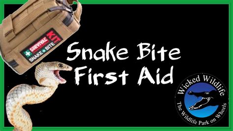 Snake Bite First Aid How To Treat A Snakebite YouTube