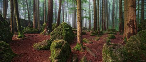 Rocky Forest By Kilian Schönberger 500px Beautiful Nature By