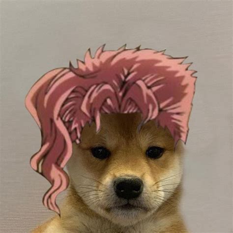 Kakyoin Dogwifhat Dogwifhat Jojo Anime Dog Icon Jojo Bizzare