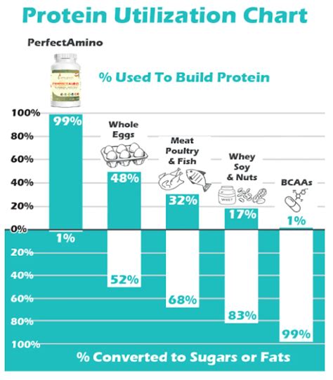 WORKOUT ANYTIME Fitness Blog Everything You Need To Know About Protein