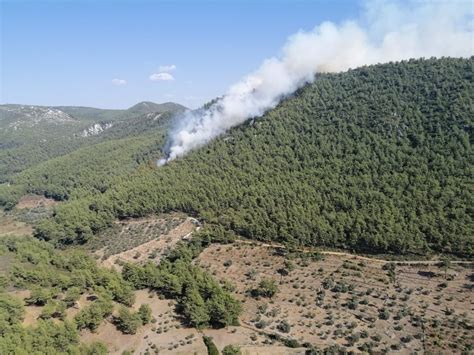 We did not find results for: Milas'ta orman yangını - Yeni Akit