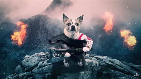 Dog Of War Vean Este Divertido Comercial De God Of War Con Perros