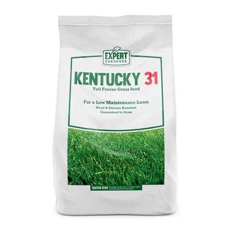 Expert Gardener Kentucky 31 Tall Fescue Grass Seed 20 Pounds