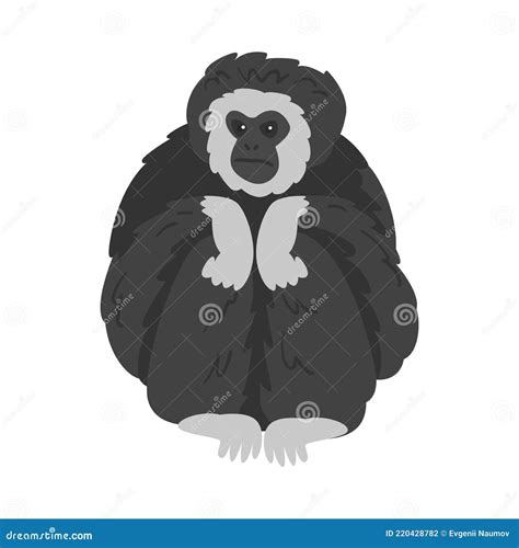 Pileated Gibbon Monkey As Ape With Black Shaggy Fur Vector Illustration