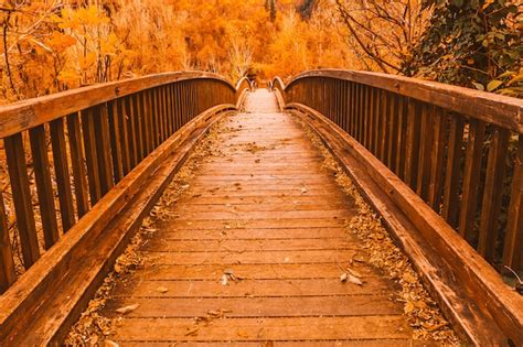 Premium Photo Wooden Bridge In An Autumn Forest