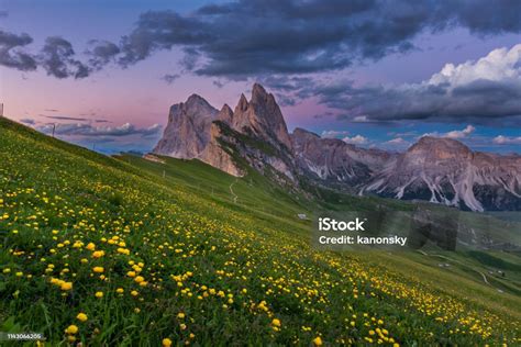 Stunning View Of Dolomite Mountain And Wildflower Field In Summer At