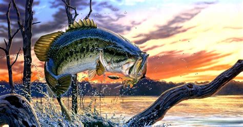 Bass Fishing Wallpaper For Iphone Amazing Wallpapers