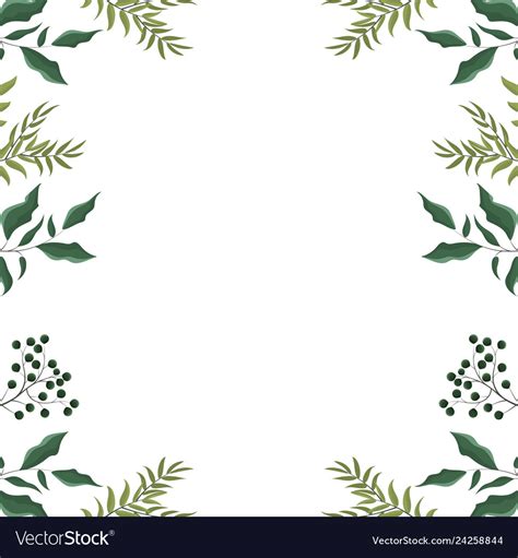 Leaves Frame White Background Royalty Free Vector Image
