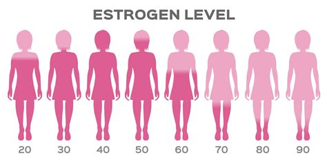 Estrogen Deficiency Before During And After Pregnancy The Pulse