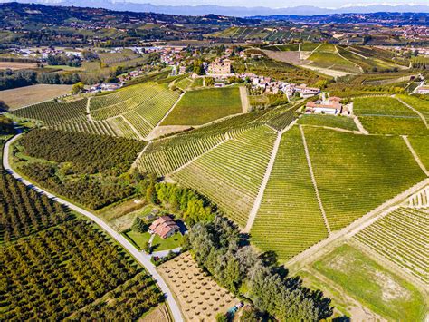 Aerial Of The Vineyards Around Castle Of Grinzane Cavour Barolo Wine
