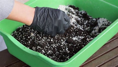 Can You Mix Fertilizers Everything You Need To Know
