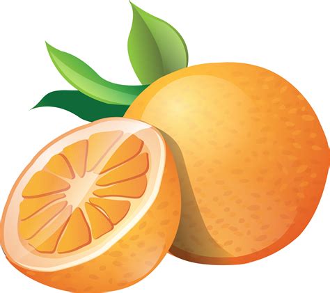 Free Orange Clipart Fruit Clip Art
