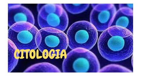 Tipos De Celulas Resumo Citologia Citologia Tipos De Celulas Images