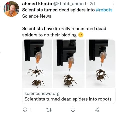 necrobotic spiders are still being experimented upon مسبار