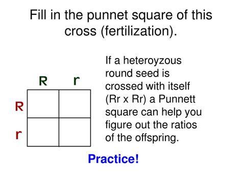A punnett square is a diagram that was devised by an english geneticist named reginald punnett a punnett square is a diagram used to determine the statistical likelihood of each possible when a punnett square will not be useful. PPT - Genetics is the science of heredity. PowerPoint Presentation, free download - ID:3468054