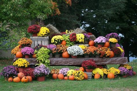 Bright Fall Garden Design And Natural Yard Lndscaping Ideas