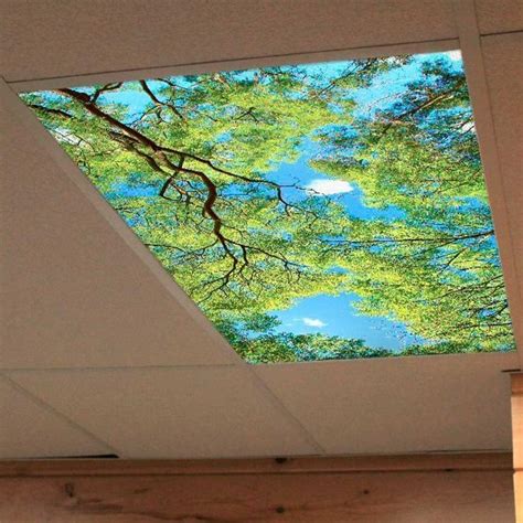 Fluorescent Light Covers To Transform Your Drop Ceiling Telas