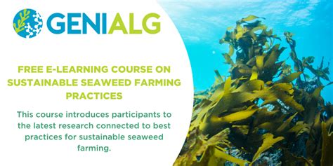 Launch Of Free E Learning Course On Sustainable Seaweed Farming