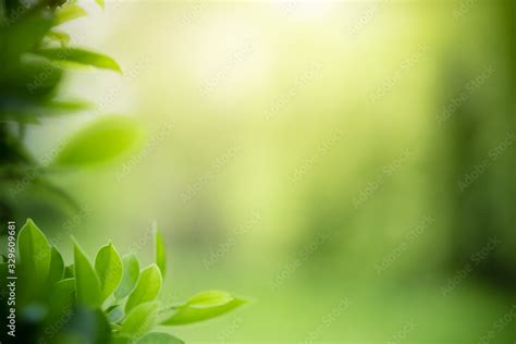 Beautiful Nature View Of Green Leaf On Blurred Greenery Background In