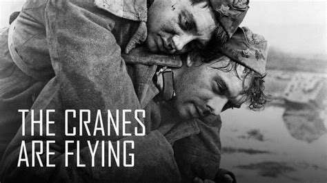 The Cranes Are Flying 1957 Hbo Max Flixable