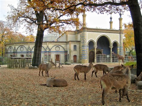 See more ideas about zoo, berlin, zoo station. Zoo de Berlín - Viajeros por el Mundo