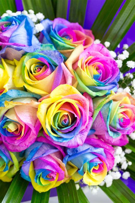 Wild Rainbow Roses 6 Regular In Spanaway Wa Designs By Precious Petals