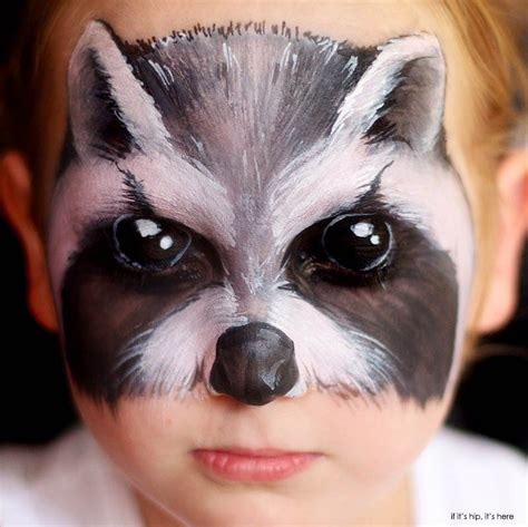 Raccoon Makeup Costume
