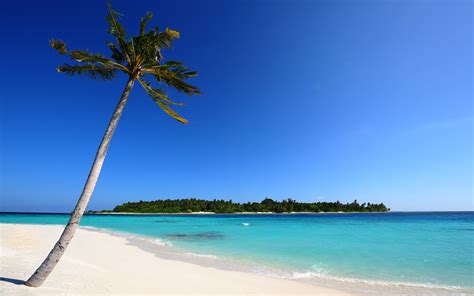 Palm Beach Island Hd Wallpaper Background Image 2560x1600 Id