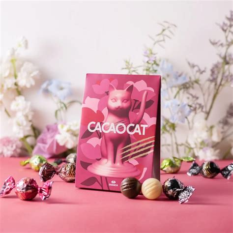 Cacaocat X Chocolate Origin イーアス春日井