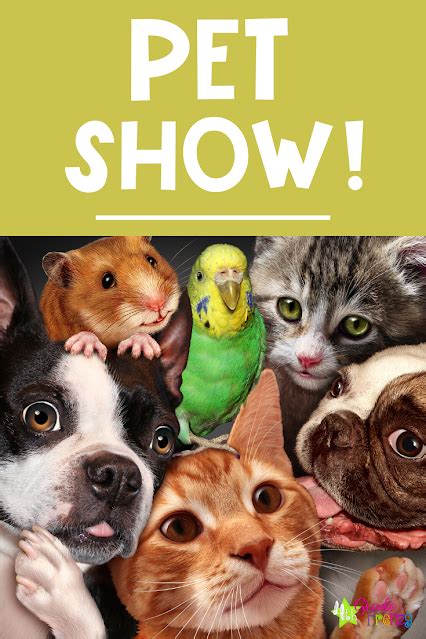 4th Grade Frenzy Step By Step Plan For Organizing A Pet Show