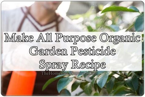 Make All Purpose Organic Garden Pesticide Spray Recipe The Homestead