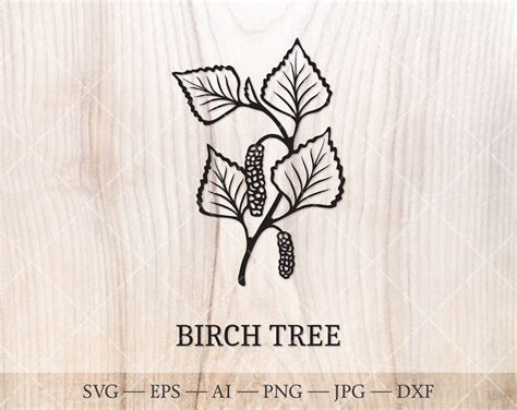 Birch Tree Svg Jun 24 Birth Tree Svg Birch Leaf Svg Birth Month