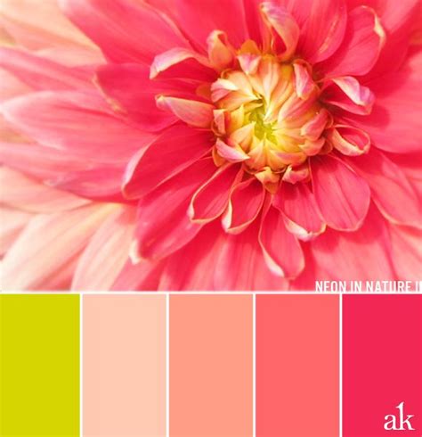 This beautiful peachy coral and mint green color palette is my favorite today! a dahlia-inspired color palette // chartreuse, peach ...