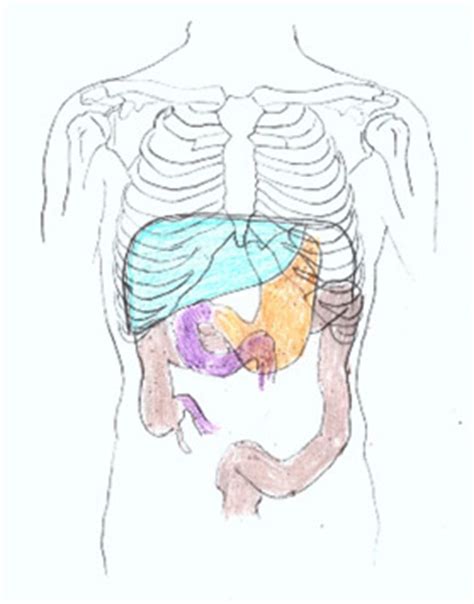 This is an online quiz called liver diagram. 5 Very Unexpected Symptoms Related to Your Liver Health