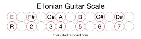 E Ionian Guitar Scale The Guitar Fretboard