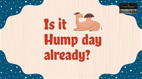 Is It Hump Day Already Humpday Youtube