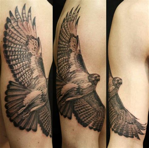 Aggregate More Than Bird Of Prey Tattoo Latest In Eteachers