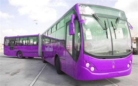 Nuevos Buses De Transmilenio Para Acosadores Sexuales Actualidad Panamericana