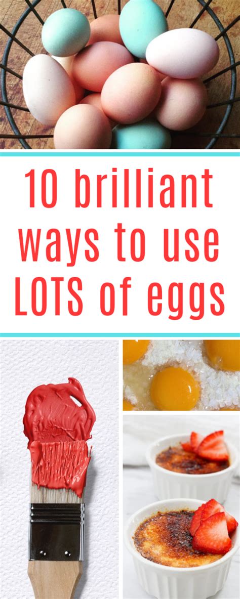 I don't want quiches or breakfast egg dishes. 10 Favorite Ways to Use Extra Eggs | Egg recipes, Recipe ...