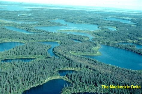 Mackenzie Delta Region The Mackenzie Delta Western Canadian