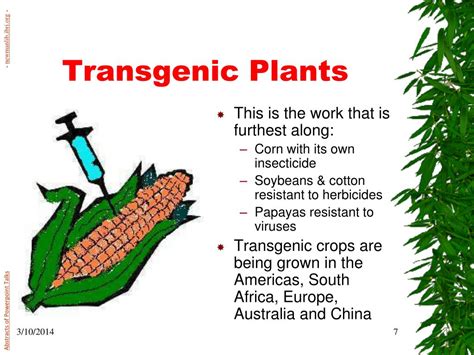 A transgenic organism is an organism which has been modified with genetic material from another species. PPT - Genetic Engineering & Cloning PowerPoint Presentation - ID:173598