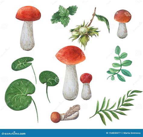 Watercolor Edible Mushrooms And Different Leaves Boletuses Autumn Set