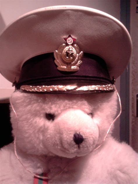 Soviet Bear Microwiki